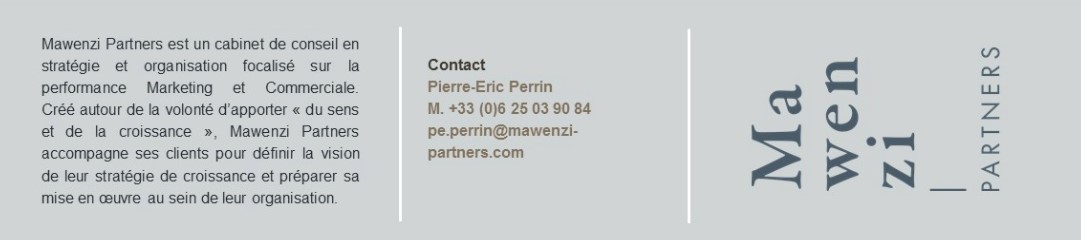 Mawenzi Partners cabinet de conseil en stratégie et organisation