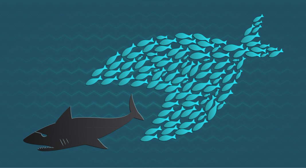 economie collaborative